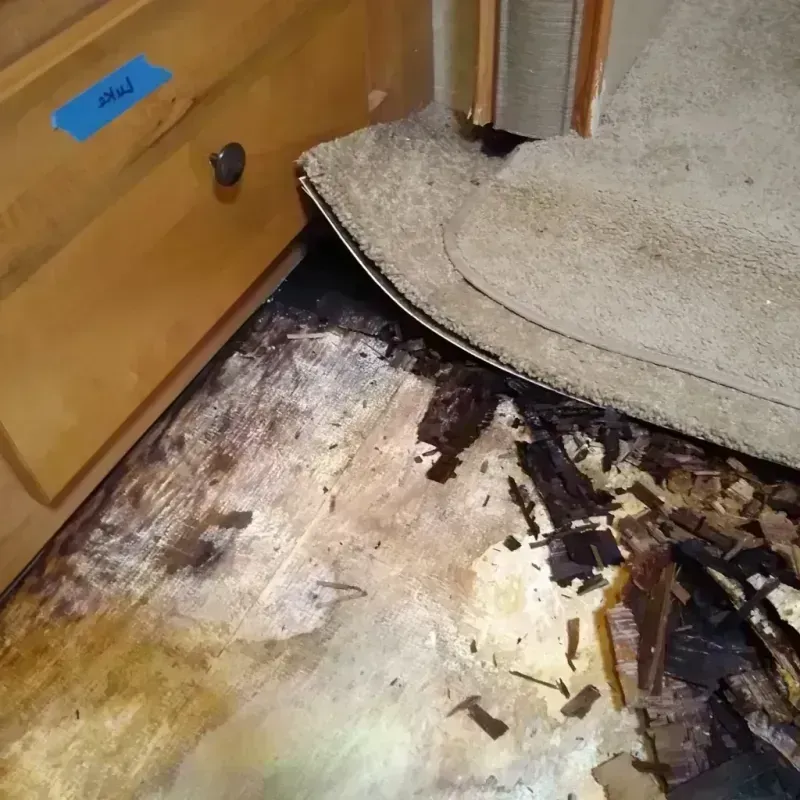 Best Wood Floor Water Damage Service in Carbondale, PA